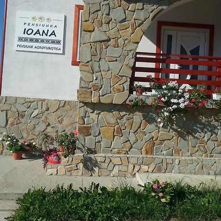 Pensiunea Agroturistica Ioana Bradulet 외부 사진