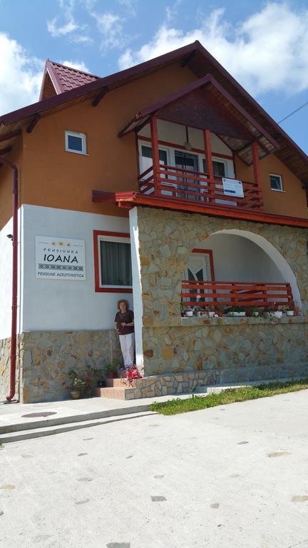 Pensiunea Agroturistica Ioana Bradulet 외부 사진